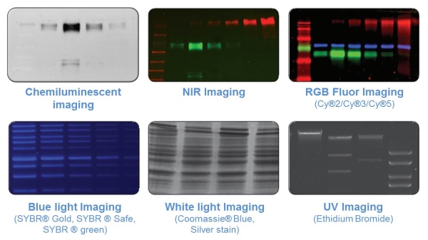 Gel and Blot Imagers