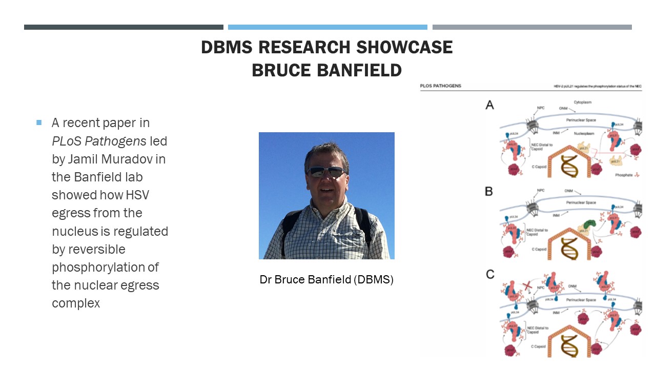 
                         Research                                                    - 
                          Read more                                                    