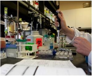 Experimental Medicine