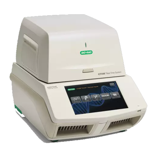 
                         Bio-Rad CFX 96                                                    