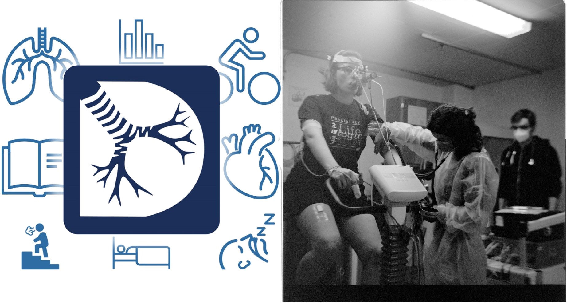 
                         Integrative Cardiopulmonary Physiology Lab (Domnik Lab)                                                    - 
                          Cardiopulmonary exercise testingPhoto c/o @matthoultphoto                                                    