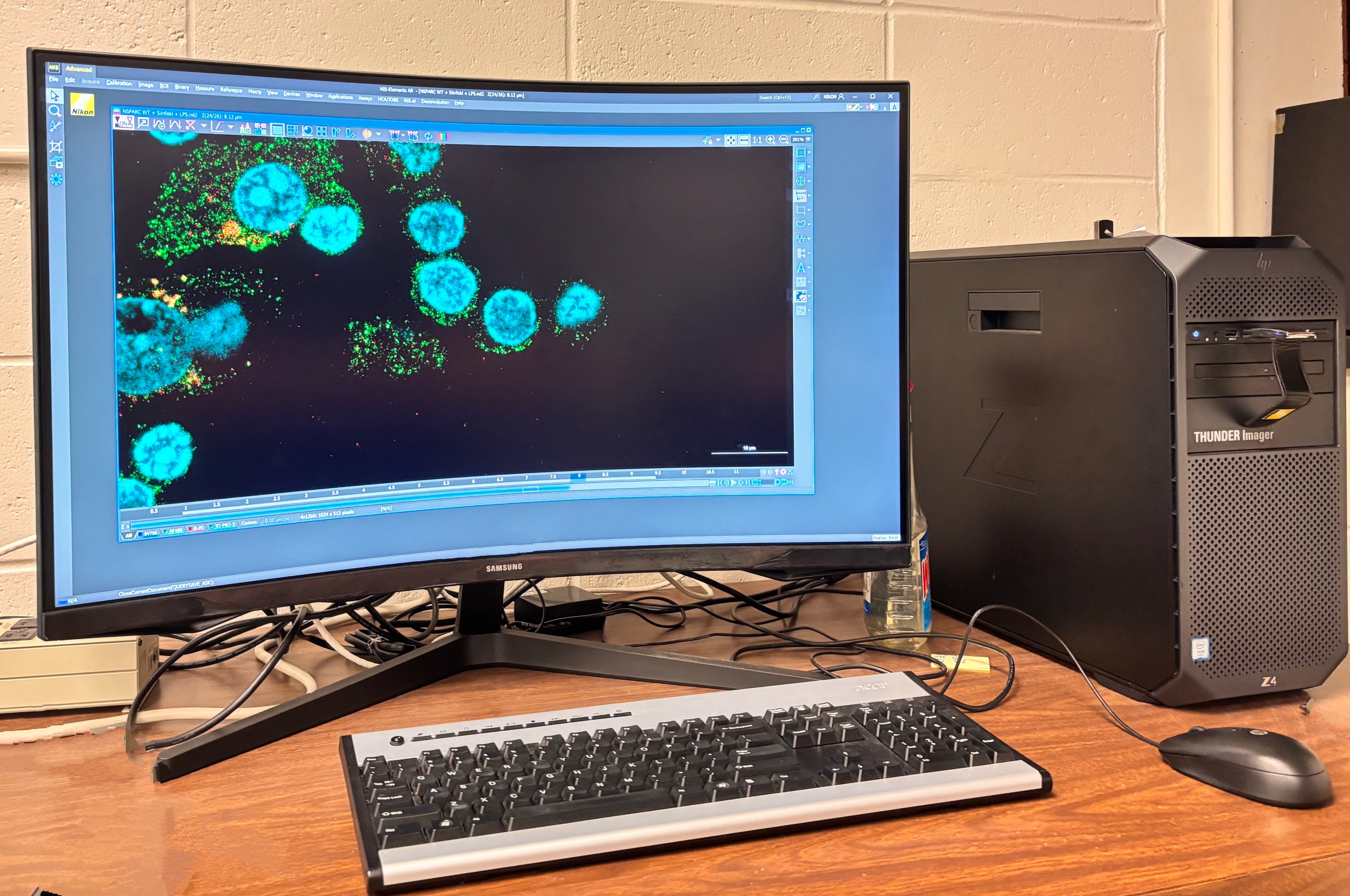 
                         Biomedical Image Analysis                                                    