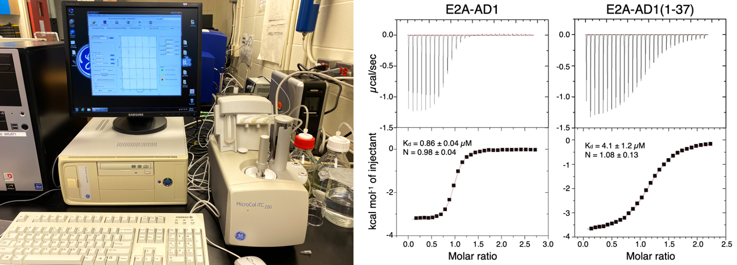 Isothermal Titration Calorimetry (ITC) | Biomedical And Molecular ...