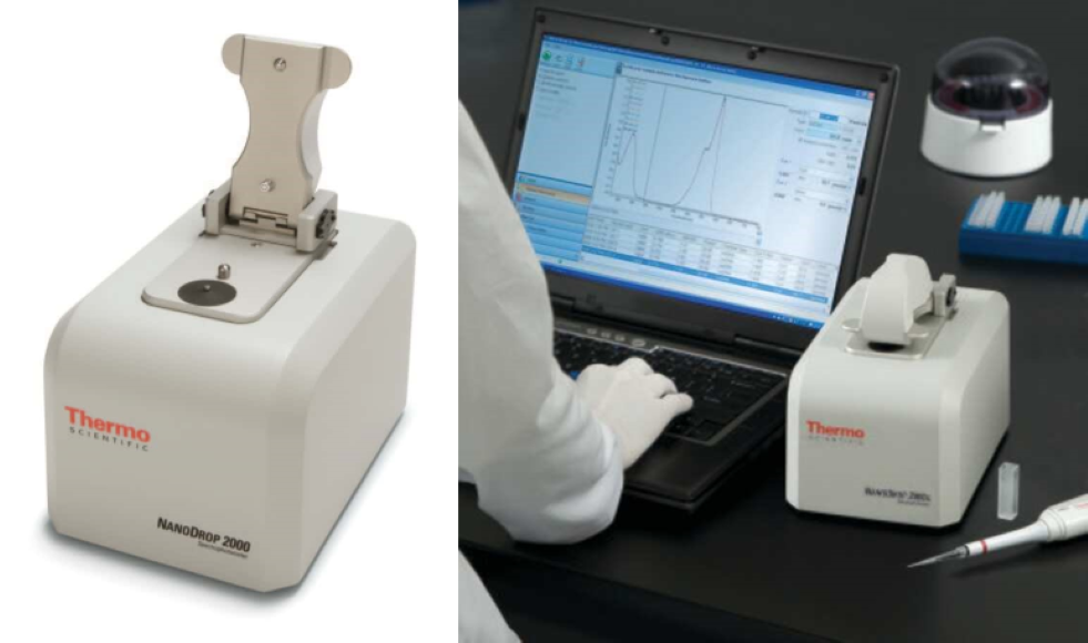 Nanodrop 2000 Spectrophotometer Biomedical And Molecular Sciences