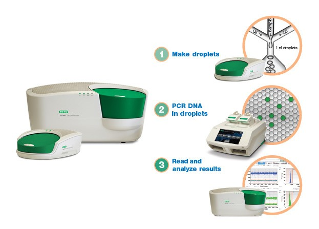 
                         Droplet Digital PCR (ddPCR) Technology                                                    
