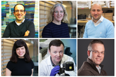 5 DBMS Researchers Awarded CIHR Funding