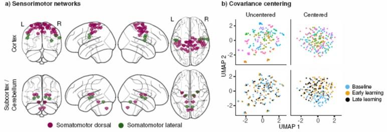 new research from Gallivan lab on learning networks in the brain