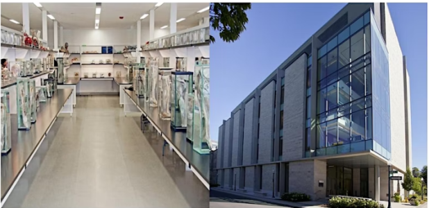 Split Image. On the left, glass containers containing specimens of human body parts line both sides of an aisle. On the right, an outdoor view of the School of Medicine building.