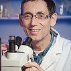 Peter L. Davies