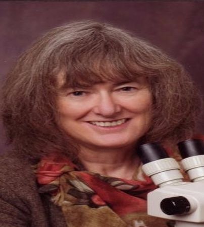 Virginia K Walker